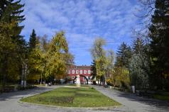 Клиника на открито организират във Велико Търново