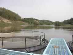 Състезание по риболов организира Община Елена