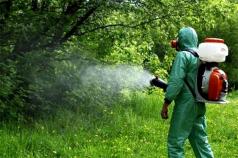 Повторно пръскане срещу бълхи и кърлежи ще се извърши в Горна О...