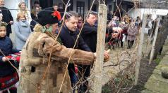 Зарязаха ритуално лозите в Килифарево