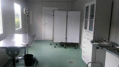 Кампания за кастрация на бездомни кучета и котки започва във Ве...