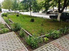 1200 цветя и 13 дръвчета получиха великотърновци по проекта „Мо...