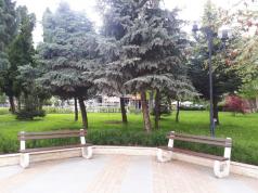 Преасфалтиране на улица Вичо Грънчаров налага промяна в орган...