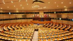 Междупартийна група от членове на Европейския парламент иска да...