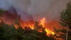 Огромен пожар унищожи 20 дка гора и стигна до село Царски извор...