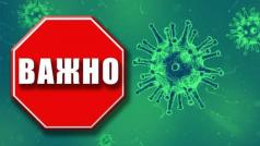 Създават дигитална платформа за координация на всички доброволц...