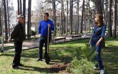 28 нови дръвчета облагородиха парк във Велико Търново